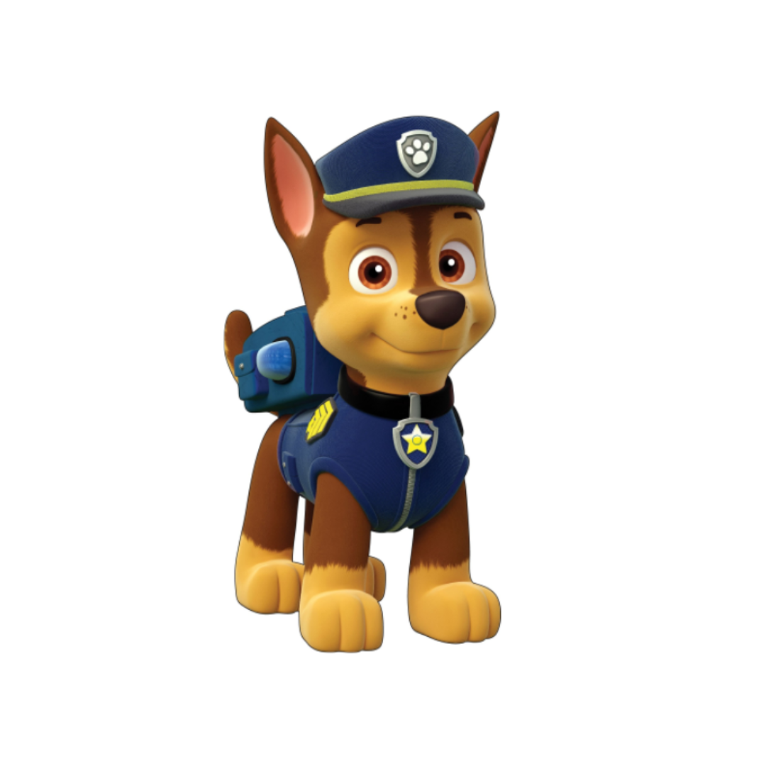Biscuit Pat Patrouille Chase